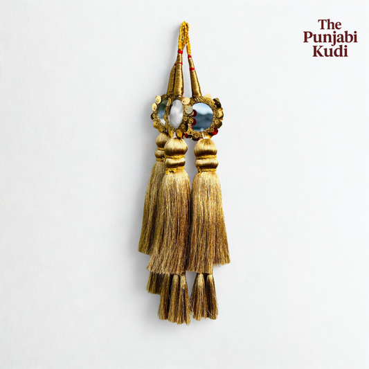 Mirror Work Punjabi Paranda