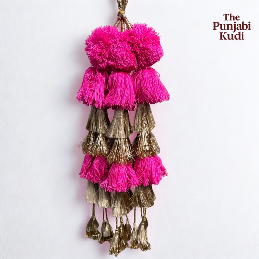 Karishma Kapoor Pink Paranda